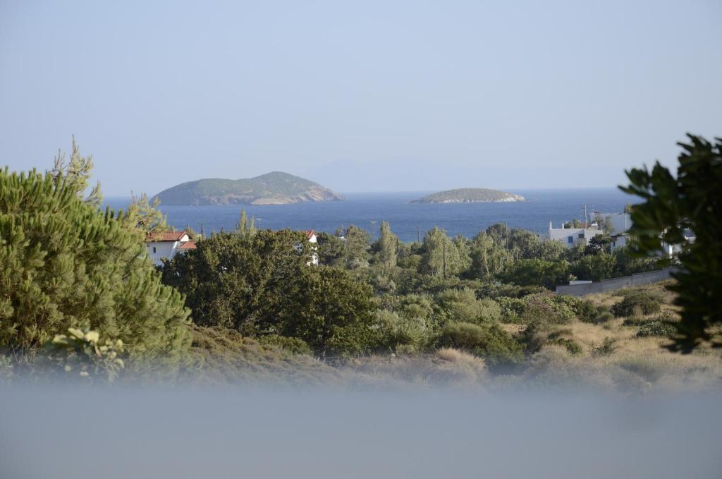Spanos Apartments Áyios Pétros Dış mekan fotoğraf
